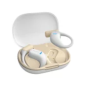 PHILIPS 雙AI降噪麥克風長續航運動藍牙耳機 -白色