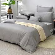 (網路獨家)義大利La Belle《翩翩絮羽-炊煙灰》加大天絲棉四件式被套床包組