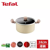 法國特福 Daisy系列24CM不沾雙耳湯鍋加蓋 H0494624