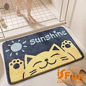 【iSFun】羊羔絨毛 腳踏防滑浴室吸水地墊50x80cm/陽光貓咪 陽光貓咪