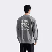 The North Face U CORE FOLLOW THE SUN CREW GRAPHIC - AP 男女圓領套頭衫-NF0A8F0M0UZ 3XL 灰色
