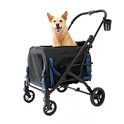 【IBIYAYA依比呀呀】FS2550 嘟嘟號分離式提籃寵物推車 湯瑪士黑