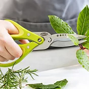 《CHEFN》Freshforce 2in1香料剪刀(蘋果綠21cm) | 食物剪 多層剪刀 料理剪