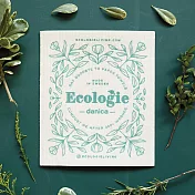 《danica》Ecologie瑞典環保抹布 - 綠環保20cm