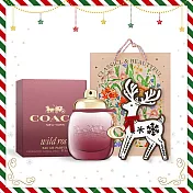 COACH 女性淡香水耶誕禮讚組(香水/香精30ml+麋鹿擴香擺飾)附品牌禮袋-國際航空版  曠野玫瑰