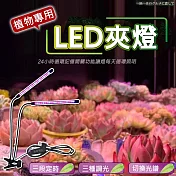 LED可定時植物生長燈(三管 4入組) 三管*4