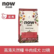 Now! 中型成犬牛肉配方 22磅 高湯天然糧 | 乾濕兩吃 火雞高湯 中型犬 犬糧 狗糧 WDJ