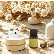 【組合】日本DECOLE可愛動物泡湯擴香石 泡湯水豚+泡湯貓咪