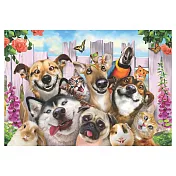 萌寵一家人 500片 Anatolian拼圖