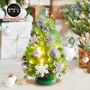 摩達客-台灣製1尺30cm精緻綠色聖誕+聖誕花雪片銀白系裝飾品組_免組裝+20燈LED銅線燈串暖白光-USB電池盒兩用