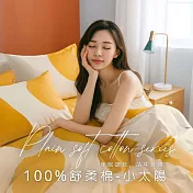 【AGAPE雅家倍】MIT台灣製 舒柔棉 雙人5x6.2尺薄床包被套四件組  小太陽