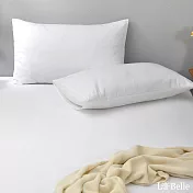 義大利La Belle《極簡純色》長絨細棉信封枕套--2入-白色