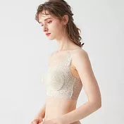 日本【GUNZE郡是】cherish moon 惜月新款 溫柔無縫無鋼圈內衣 W支撐胸罩 大豆異黃酮科技滑順蕾絲減少束縛-214-137 M 水晶米色