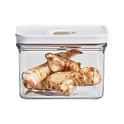 【Roichen】iVACUUM真空保鮮盒1.0L (160*110*114)