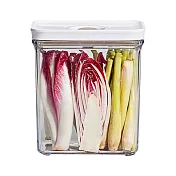 【Roichen】iVACUUM真空保鮮盒1.8L (160*110*179)