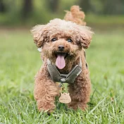 satana -咕嚕寵物名牌 原皮色