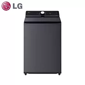 LG樂金16公斤AIDD蒸氣直驅變頻直立式洗衣機WT-TD16HG(夜墨灰)