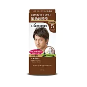倫士度LUCIDO 按壓式染髮霜100g/盒 男性染髮劑 白髮染 只要五分鐘 無香料