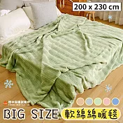 《田中保暖》超巨暖毯 200x230cm 鋪床暖毯 軟綿綿法蘭絨 一蓋整個人被吞沒 毯子 多色任選 綠薄荷