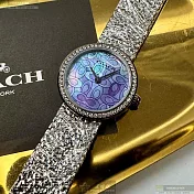 COACH蔻馳精品錶,編號：CH00251,28mm圓形槍灰色精鋼錶殼變色錶盤米蘭鐵灰色錶帶