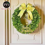 摩達客11吋時尚果綠系金蔥彎絲聖誕花圈_台灣工藝免組裝