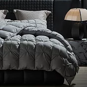匈牙利95%羽絨被 5A級白鵝絨被芯1.5kg （高蓬鬆度 立體隔間 純棉防絨布） 淺山灰 /雙人被 180*220cm