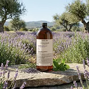 L’OCCITANE 歐舒丹 草本平衡洗髮乳補充瓶(500ml)-國際航空版