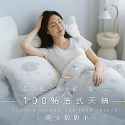 【AGAPE雅家倍】MIT台灣製 多款任選 3M法式天絲 單人4.5x6.5尺鋪棉兩用被套一件組 晚安數數羊