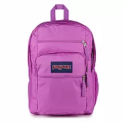 Jansport Big Student [JS0A47JKDH5] 後背包 運動包 雙肩背包 紫