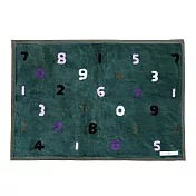 日本丸真 SOU SOU 京都新和風日本製毛毯   經典數字