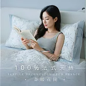 【AGAPE雅家倍】MIT台灣製 多款任選 3M法式天絲 加大6尺薄床包鋪棉兩用被套四件組 春暖花開