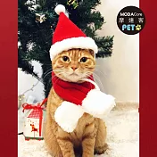 摩達客寵物-耶誕造型裝扮-聖誕老公公套裝-小聖誕帽+紅白小圍巾_多尺寸_中小型貓狗服飾 S