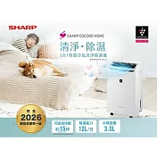 SHARP夏普 3合1智慧空氣清淨除濕機 DW-WA12FT-S