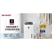 SHARP 夏普 自動除菌離子衣物乾燥除濕機  DW-PT9HT-W