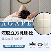 【AGAPE雅家倍】MIT涼感立方乳膠枕1入