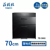 莊頭北 落地式烘碗機 TD-3662(70cm) 送基本安裝