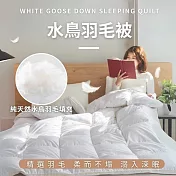 【AGAPE雅家倍】台灣製100%天然水鳥羽毛被 雙人6x7尺