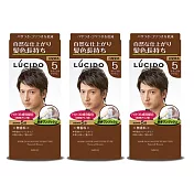 倫士度LUCIDO 按壓式染髮霜(5號自然棕)100gX3盒 男性染髮劑 白髮染 只要五分鐘 無香料