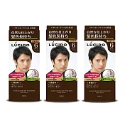 倫士度LUCIDO 按壓式染髮霜(6號深棕)100gX3盒 男性染髮劑 白髮染 只要五分鐘 無香料
