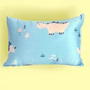 《Embrace英柏絲》 100%天絲x純棉 加大兒童水洗枕38x55cm 3D透氣枕芯 幼稚園午睡枕 告別滿頭汗 布套可拆洗 媽媽社團推薦 單入-小恐龍藍-大童枕