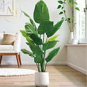 【Floral M】招財納福旺宅天堂鳥1.8公尺室內大型仿真植栽（贈送花盆）