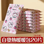 【壹念】一次性暖暖包 2入組20片 自發熱暖手寶 （秋冬必備暖手 暖暖包 可愛圖案） 小白兔