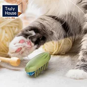 【Truly House】寵物電動玩具蟲蟲 貓玩具 狗玩具  耐咬玩具
