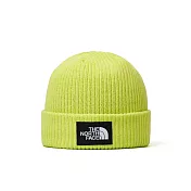The North Face SALTY LINED BEANIE 男女 保暖毛帽-NF0A8CGZRIQ 綠色