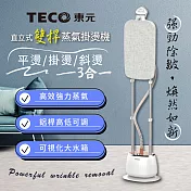 【TECO東元】直立式雙桿蒸氣掛燙機/電熨斗(XYFYG701)