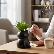 【Floral M】黑喵系居家龍舌蘭仿真綠植