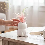 【Floral M】白喵系居家粉紅空氣鳳梨仿真綠植
