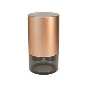 BESTHOT 無水雙噴香薰機 香檳金