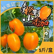 【家購網嚴選】冠軍橙蜜香小番茄x2盒(5斤/盒)
