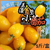 【家購網嚴選】冠軍金瑩小番茄 5斤/盒